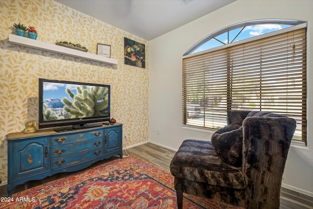 sitting room featuring dark hardwood / wood-style flooring and lofted ceiling