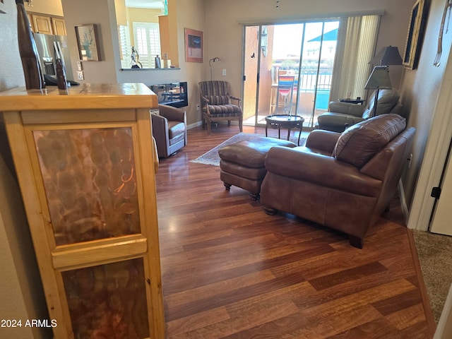 living room featuring dark hardwood / wood-style flooring