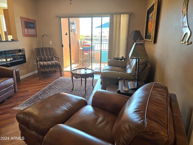 living room featuring dark hardwood / wood-style flooring