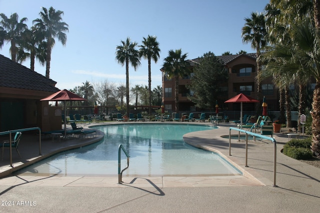 view of pool with a patio area