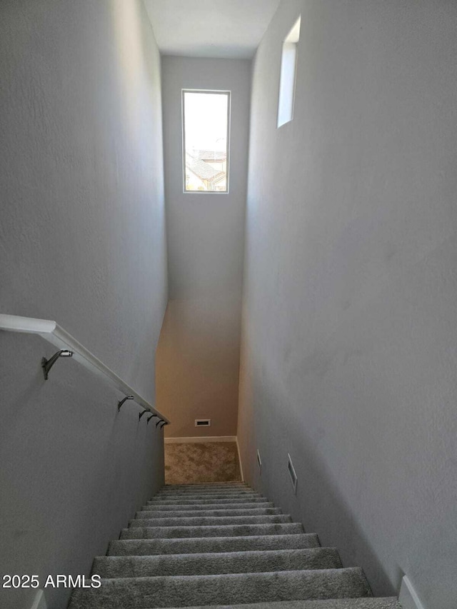 stairway featuring carpet