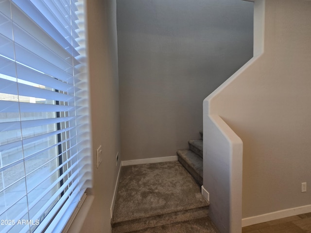 stairs featuring carpet flooring and baseboards