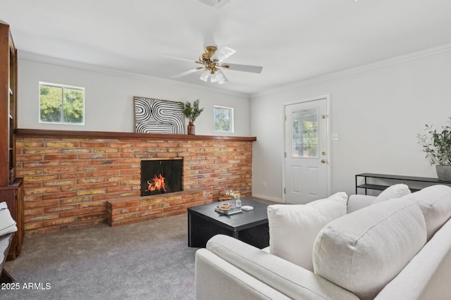 carpeted living room with crown molding, ceiling fan, a fireplace, and a wealth of natural light