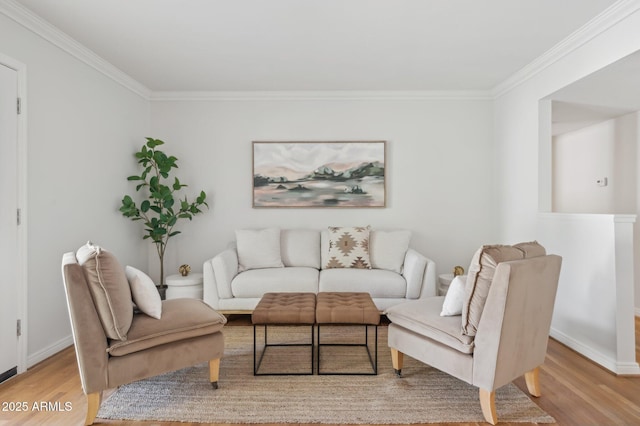 living room featuring ornamental molding and light wood-type flooring