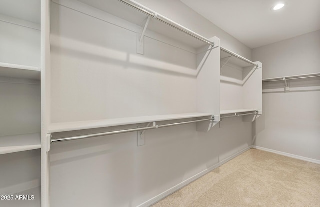 spacious closet with carpet