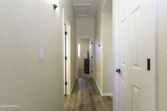 1123 E Shepherds Way, Casa Grande, AZ 85122 - hallway featuring light wood finished floors and baseboards