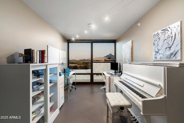 home office with a wall of windows