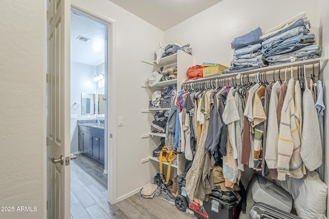9934 E Orange Grove St, Florence, AZ 85132 - walk in closet featuring light wood-style floors and a sink