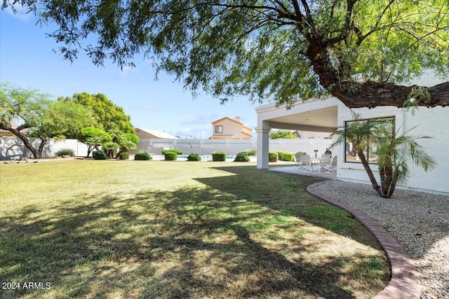 view of yard featuring a patio area