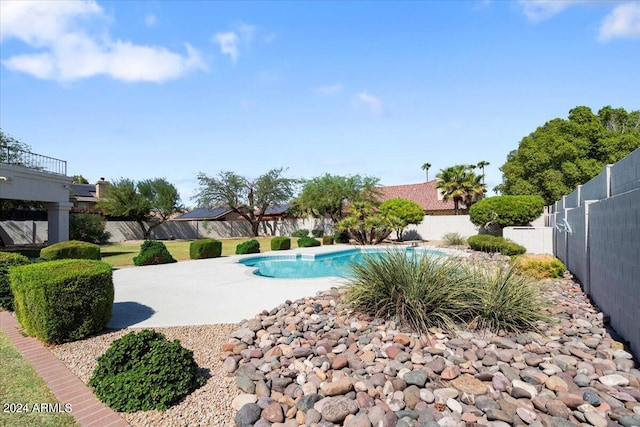 view of pool featuring a patio