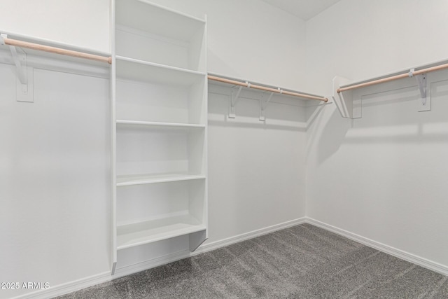 walk in closet with carpet floors