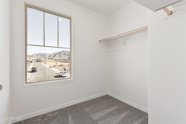 walk in closet featuring carpet flooring