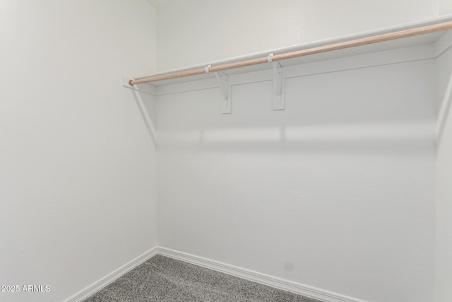 walk in closet featuring carpet