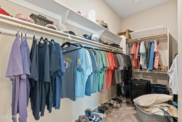 spacious closet featuring carpet