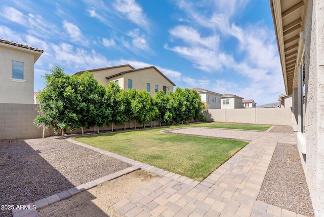view of yard with a patio and a fenced backyard
