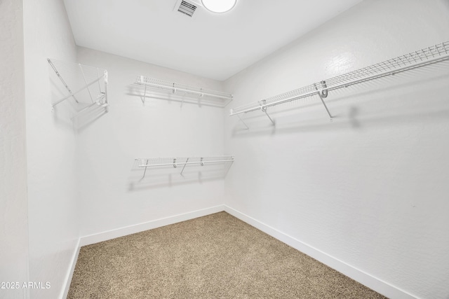 walk in closet with carpet