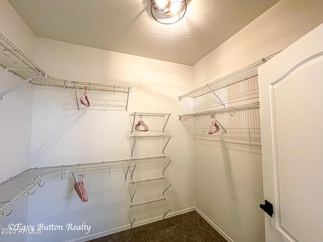 4968 E Meadow Vista Dr, Cornville, AZ 86325 - walk in closet with dark colored carpet