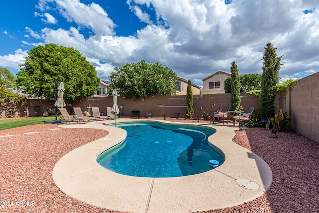 view of pool featuring a patio area