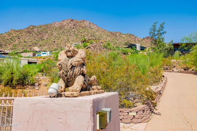 view of mountain feature