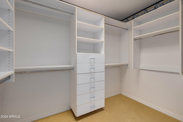 spacious closet featuring light carpet