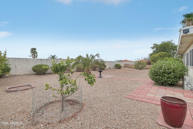 view of yard with a patio