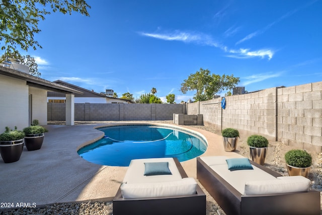 view of swimming pool featuring a patio area