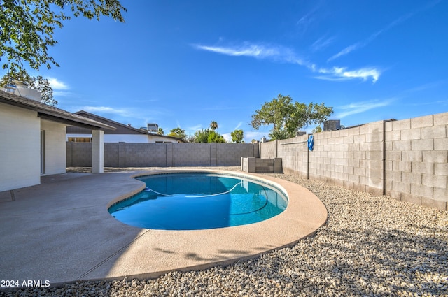 view of swimming pool with a patio