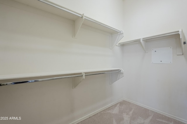 spacious closet with carpet