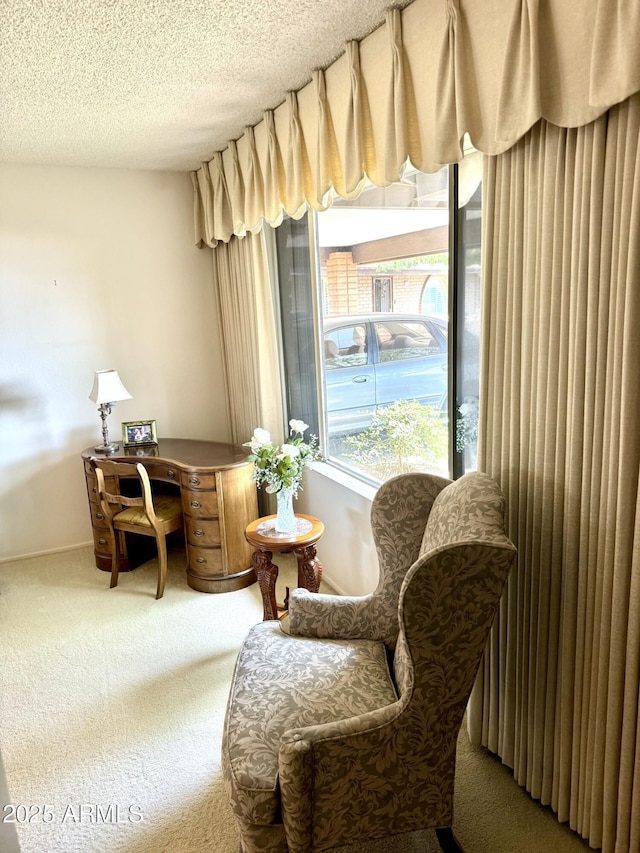sitting room with carpet and a textured ceiling