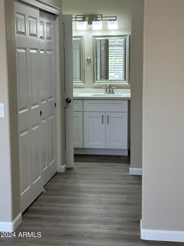 bathroom featuring vanity and wood-type flooring