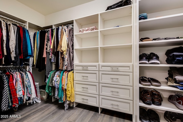 spacious closet featuring dark wood-type flooring