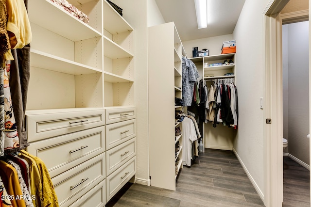 walk in closet featuring dark wood-type flooring