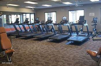 gym featuring ceiling fan and carpet floors