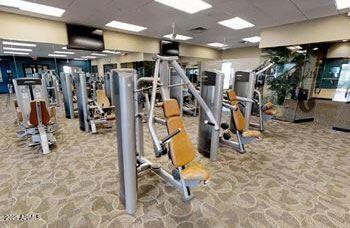 workout area with light carpet