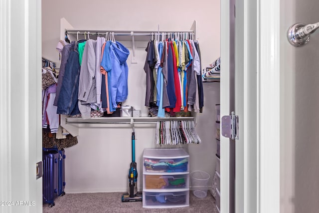 walk in closet with carpet