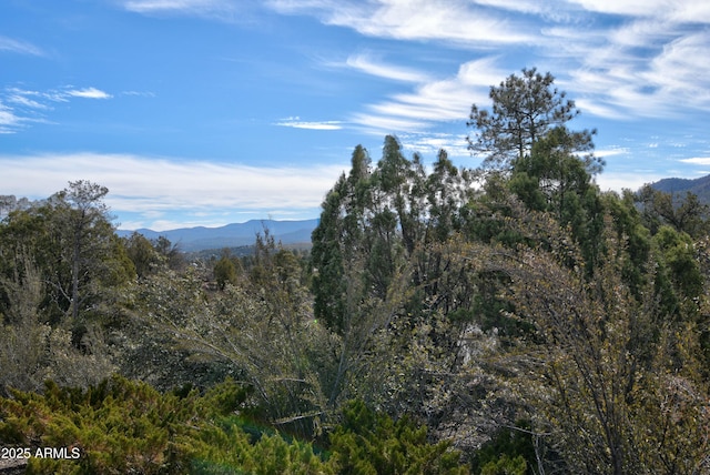 property view of mountains