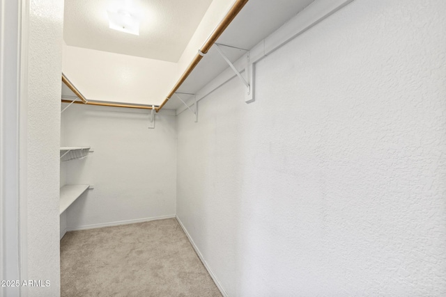 walk in closet featuring carpet flooring