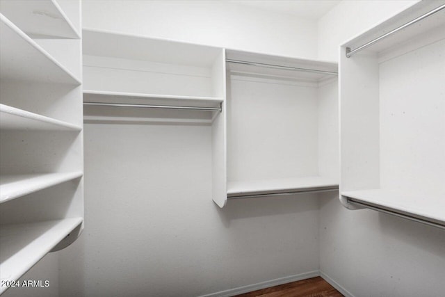 walk in closet featuring dark wood-type flooring