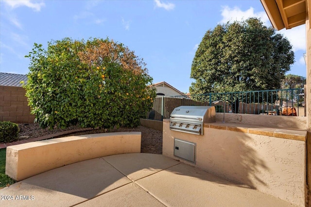 view of patio / terrace featuring a grill and area for grilling