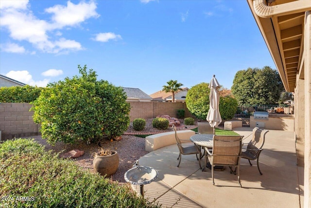 view of patio with an outdoor kitchen