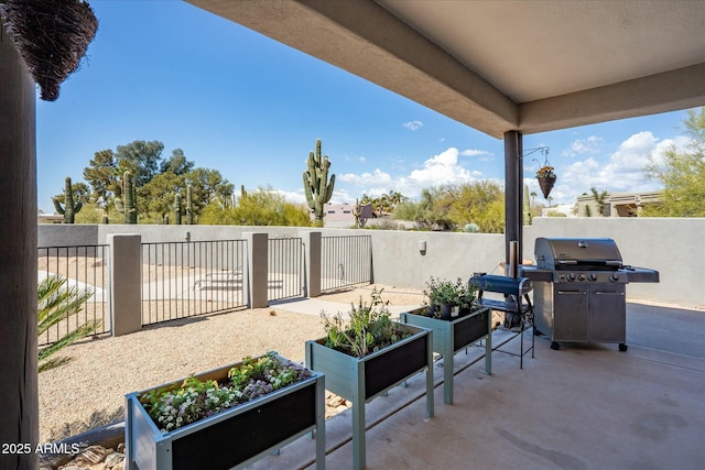 view of patio / terrace with a fenced backyard, area for grilling, and a vegetable garden