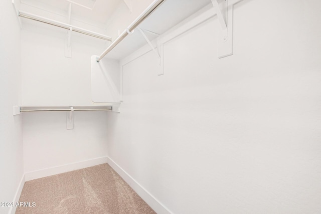 walk in closet featuring carpet flooring