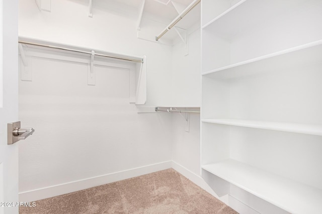 walk in closet featuring carpet flooring