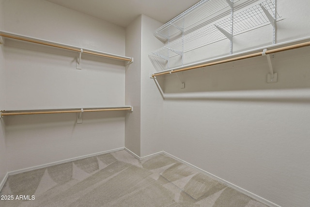 walk in closet featuring carpet