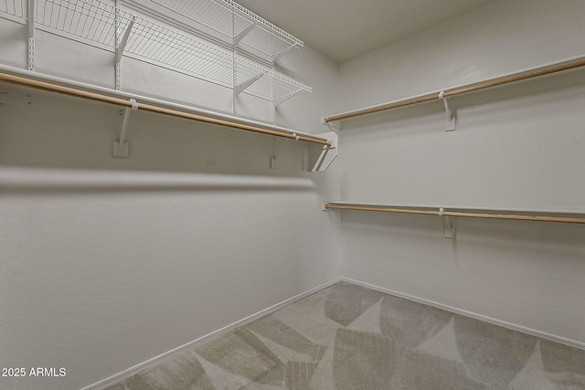 walk in closet with carpet flooring