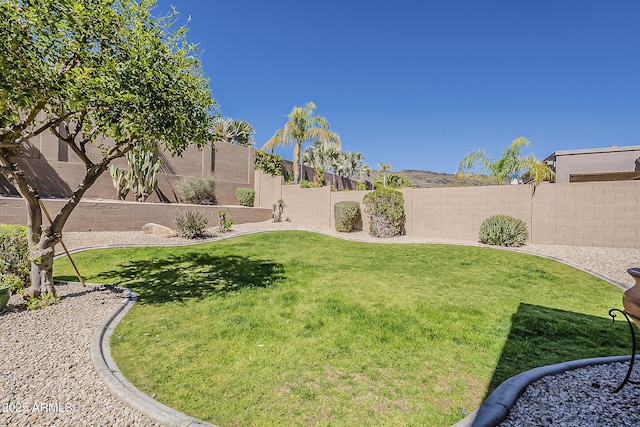 view of yard featuring a fenced backyard