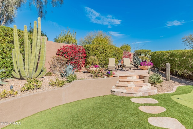 view of yard with a patio