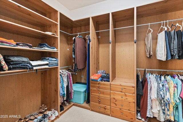 view of spacious closet