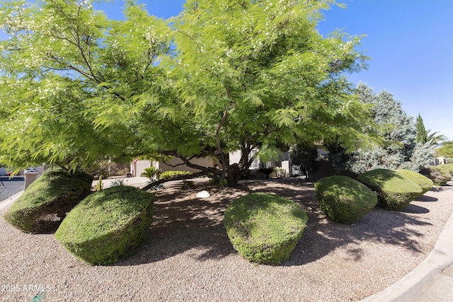25042 S Hollygreen Dr, Sun Lakes, AZ 85248 - exterior space