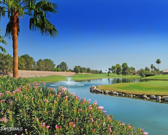 25042 S Hollygreen Dr, Sun Lakes, AZ 85248 - water view with view of golf course